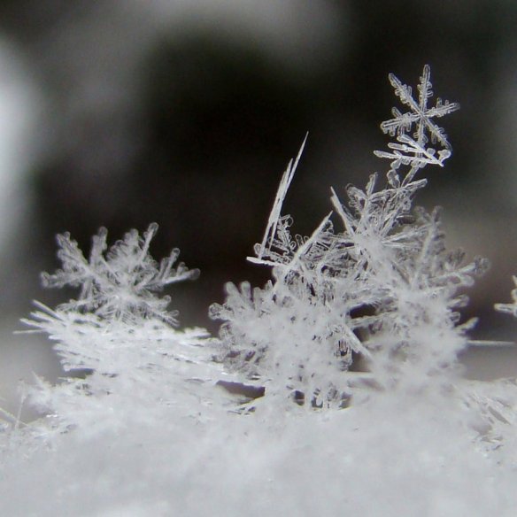 _snowflakes__by_candymax
