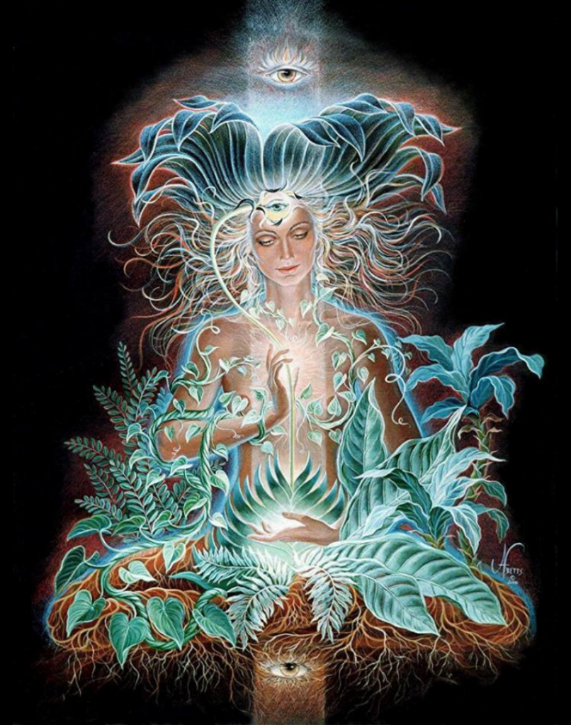 Ayahuasca Mother Plant Heals and Reveals All the hidden secrets of the Universe