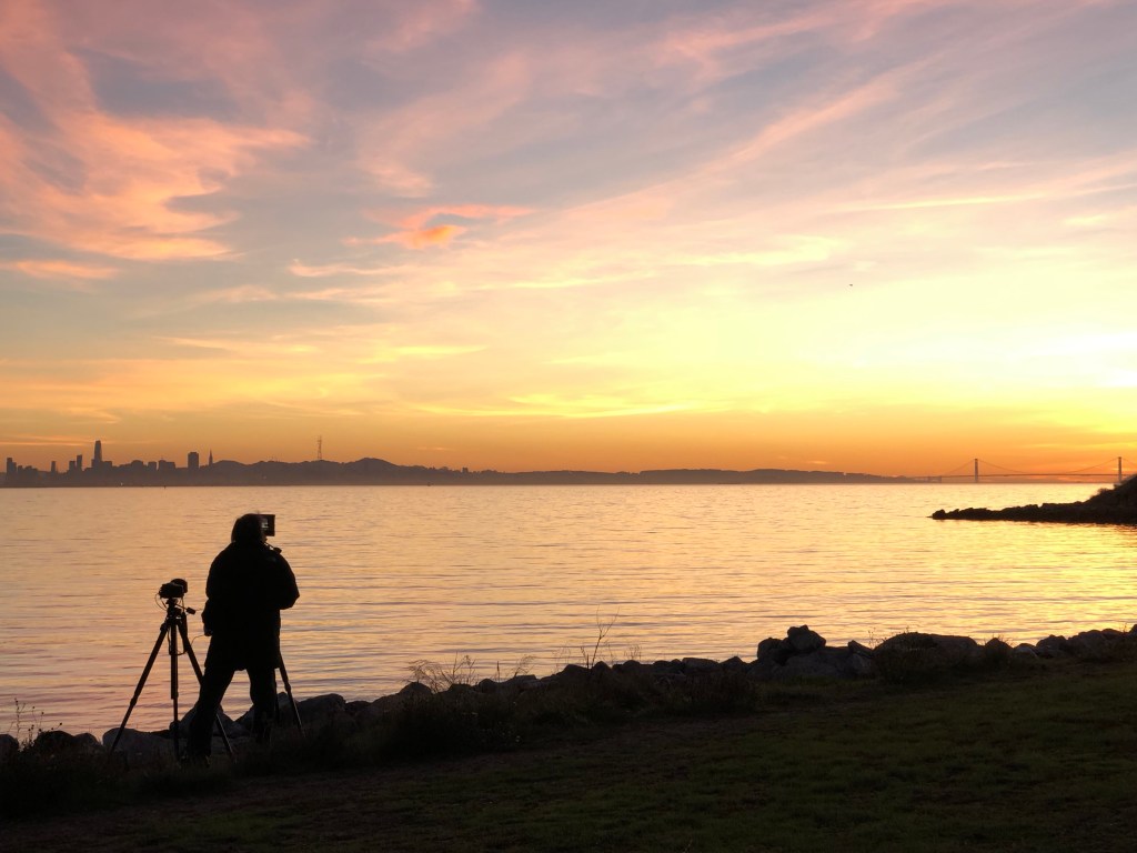 Catherine Keller: The Cosmopolitical Entanglements of Process-Relational Theology