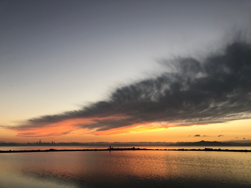 Cosmopolitics and Decentralizing the&nbsp;Movement