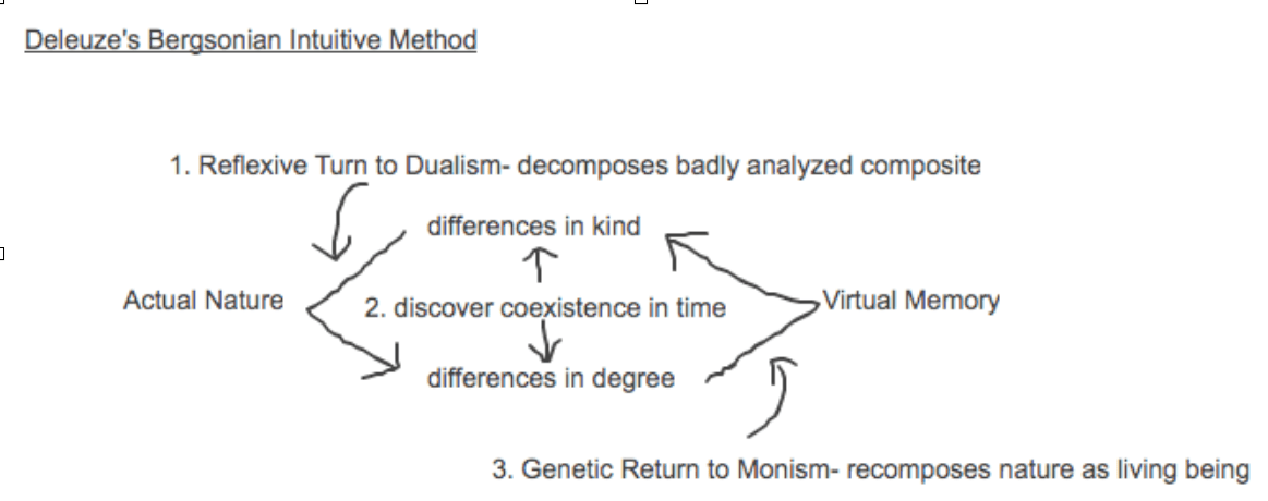 Screen Shot 2019-02-13 at 5.32.29 PM