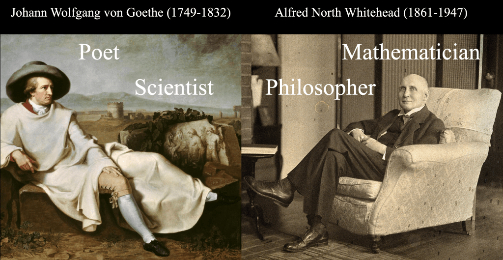 Science and the Soul of the World: Participatory Knowing in Goethe and&nbsp;Whitehead
